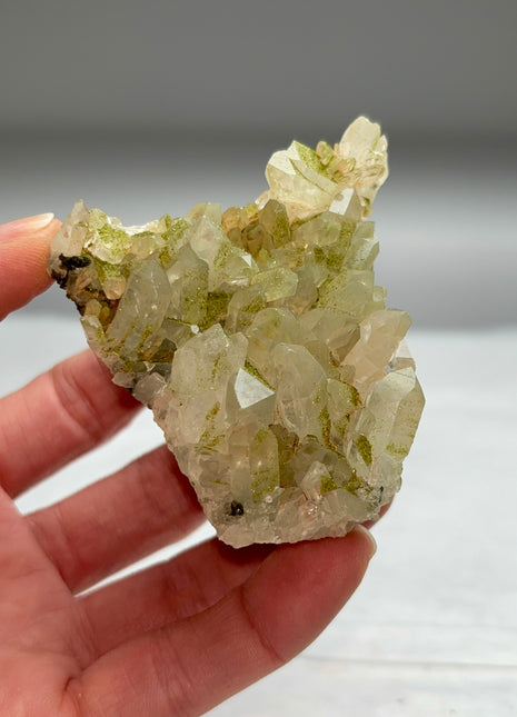 Rare ! Druzy Green Epidote with Quartz
