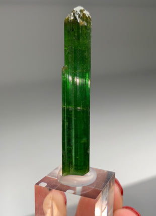 Green Tourmaline - From Brazil Collection # 048