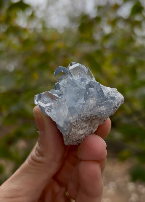 Sky Blue Celestite 💎