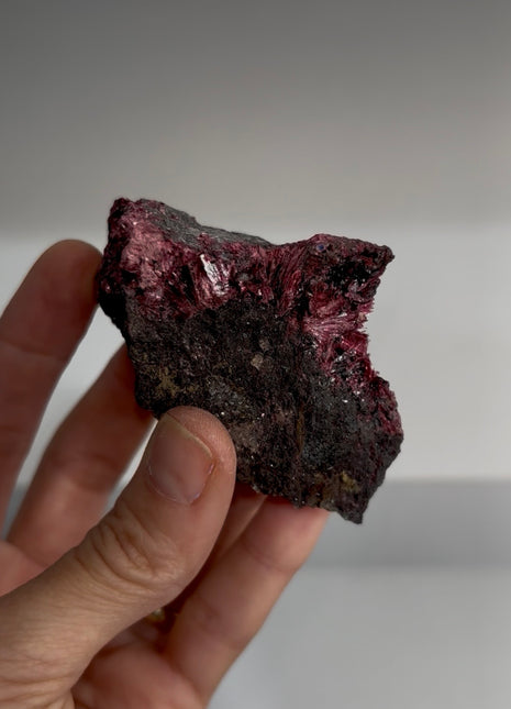 Magenta Red Erythrite Specimen
