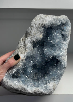 Sky Blue Celestite Geode 💎