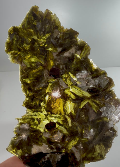 Green Actinolite in Quartz PM1679