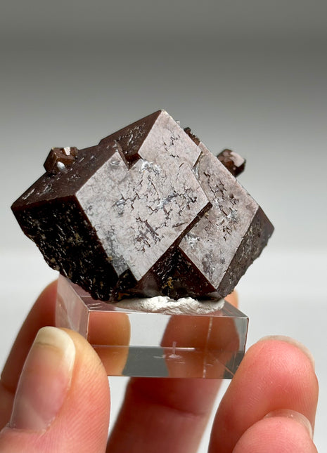Chocolate Andradite Garnet