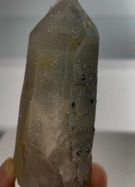 Stardust Quartz PM0661
