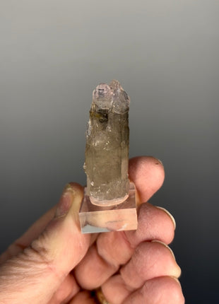 Rare ! Smoky Quartz Amethyst Scepter