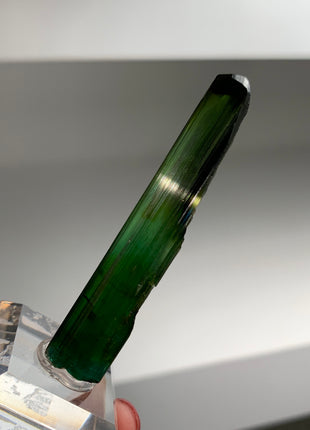 Indicolite Tourmaline from Brazil Collection # 047