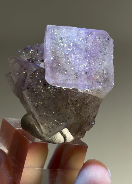 New Arrival ! Galaxy Fluorite
