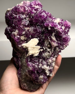 Collection image for: Private Collection