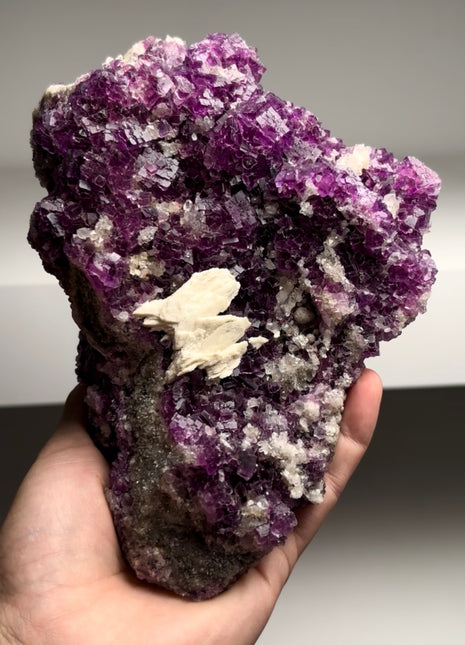 Juicy Fluorite from Berbes Collection # 592
