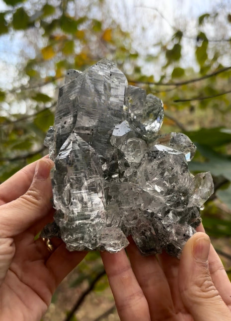 Gem 💎 Himalayan Quartz