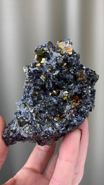 Rainbow Pyrite ! with Lustrous Sphalerite - Borieva mine, Rhodope Mtns
