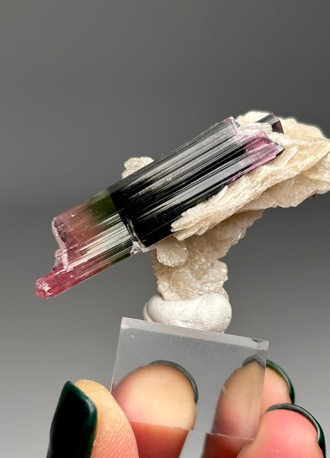 Pink Cap Tourmaline with Cleavelandite