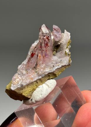 New find ! Quartz with Red Hematite Needles and Green Epidote from Namibia