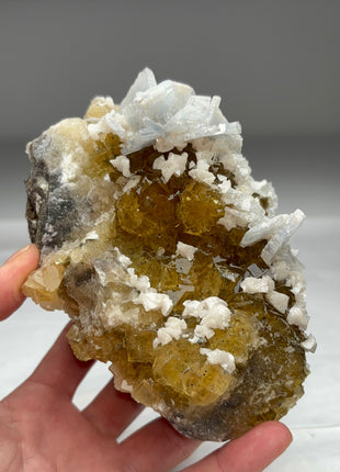Fluorite with Blue Barite Collection # 518