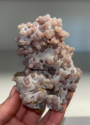 Grape Agate Specimen - From Sulawesi, Indonesia