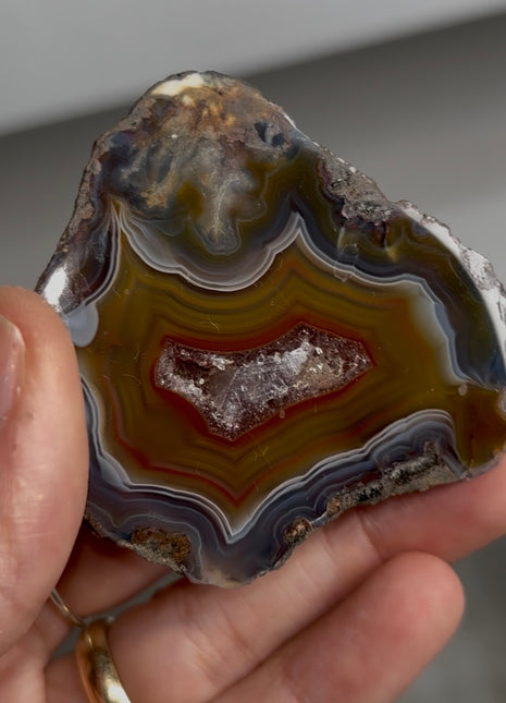 Condor Agate Geode from Argentina PM0880