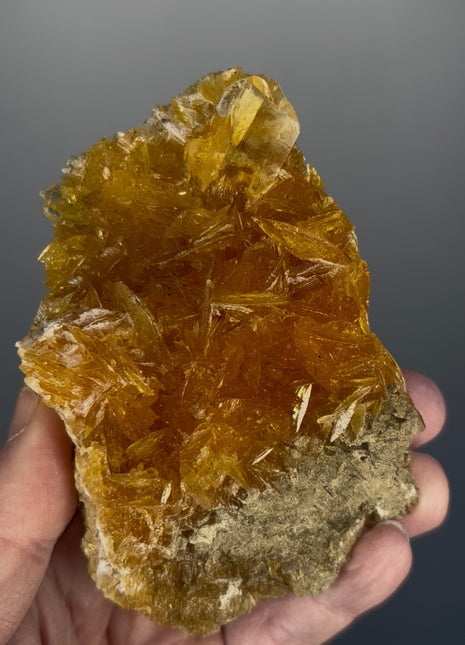 Finest 💎 Golden Selenite from Peru