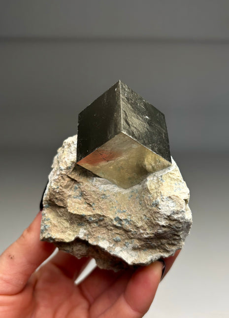 Cubic Pyrite on Matrix from Navajun, Spain