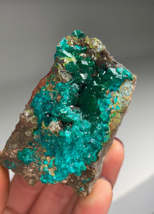 Lustrous Green Dioptase - Reneville, Congo