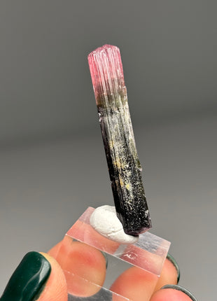 Pink Cap Tourmaline