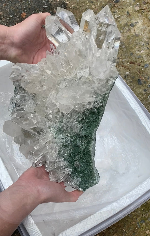 Our Finest ! Quartz with Green Chlorite From Himachal Pradesh, Himalayas