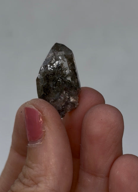 Chlorite Included Quartz - From Chamonix, French Alps