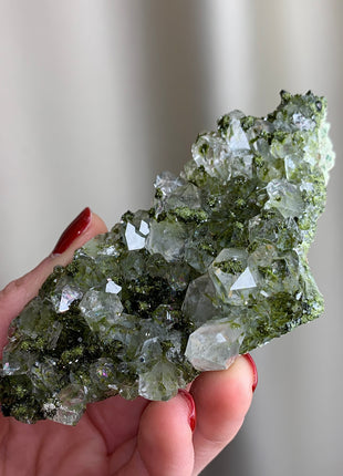 Forest Epidote with Quartz  🌲