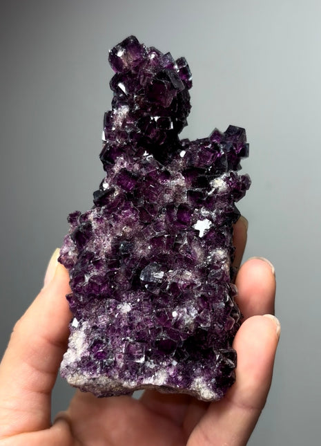Purple Fluorite from Okorusu Collection # 610