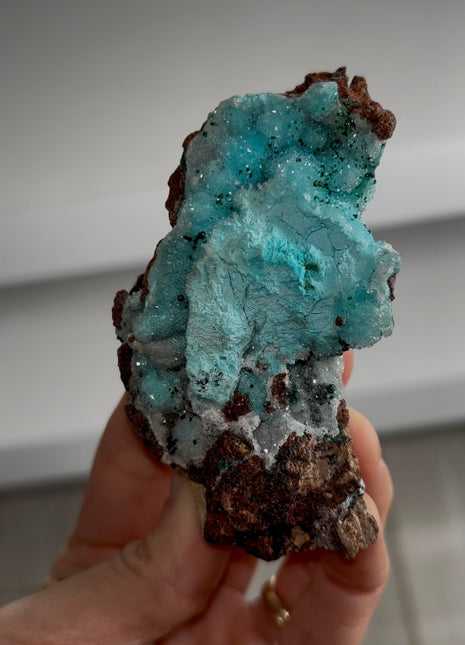 Druzy Blue Chrysocolla - Tenke mine, Congo