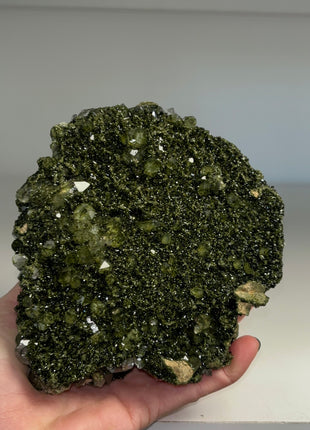 Forest Epidote with Green Quartz