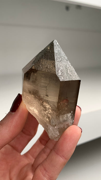 Smoky Quartz with Chlorite Sparkles - From Swiss Alps