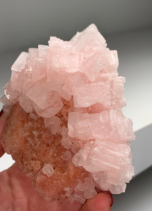 Pink Halite with Great Crystallization - from Searles Lake, California