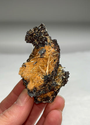 Golden Rutile with Metallic Hematite
