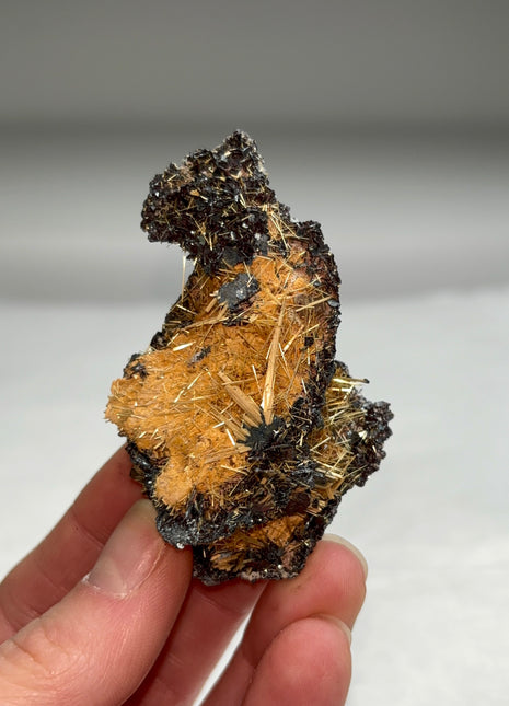 Golden Rutile with Metallic Hematite
