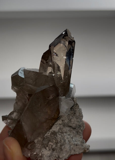 Smoky Quartz from Mont Blanc PM0986