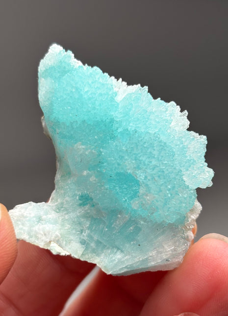 Vibrant Blue Aragonite