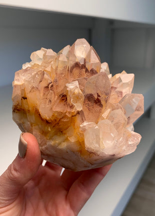 Great Phantoms ! Sunset Quartz 🔥 *