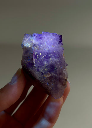New Arrival ! Galaxy Fluorite