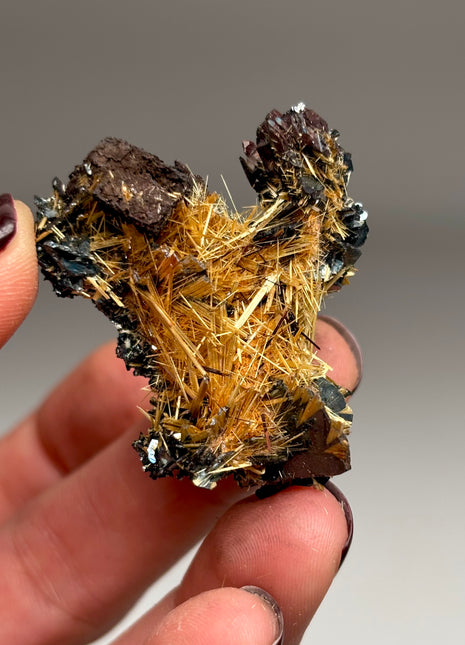 Golden Rutile with Hematite