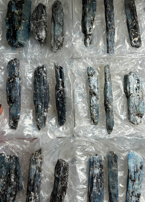 Rich Blue Kyanite with Mica - From Zambia - 18 Pieces