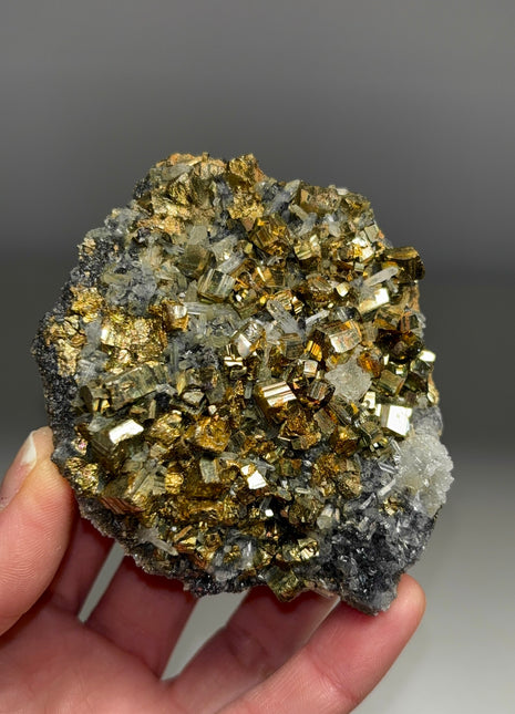 High Grade Pyrite with Quartz