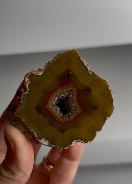 Condor Agate Geode from Argentina