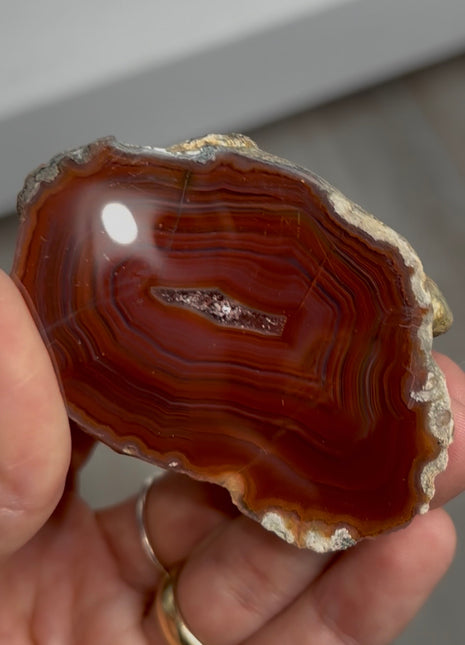 Condor Agate from Argentina PM0881