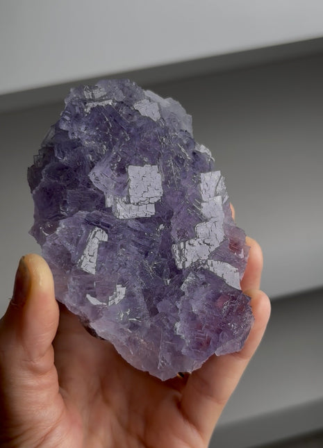 Blue Purple Fluorite from La Viesca mine Collection # 732