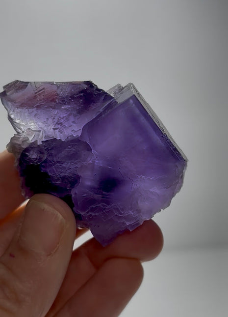 Deep Purple Core Fluorite - From Berbes