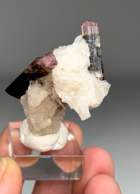 Pink Cap Tourmaline with Cleavelandite
