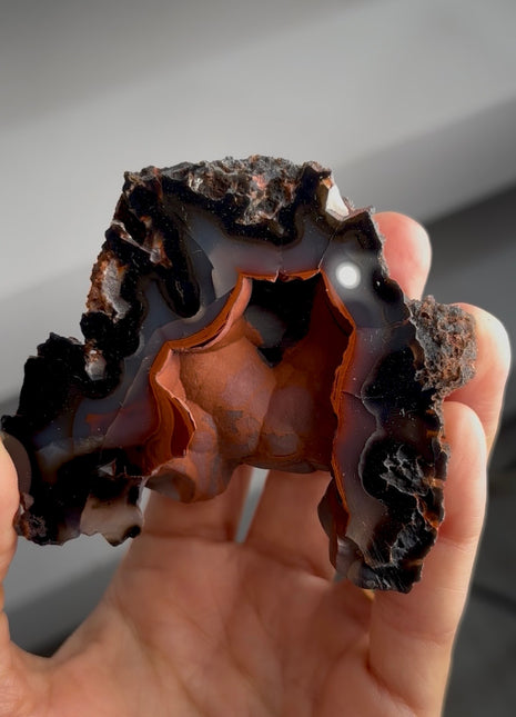 Silvery ! Red Fox Agate Geode from Argentina PM1549