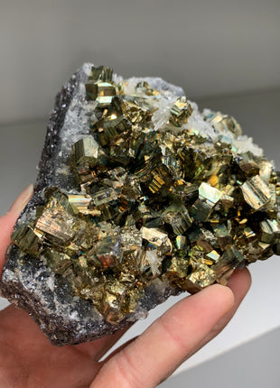 Rainbow Pyrite with Quartz - Borieva mine, Rhodope Mtns