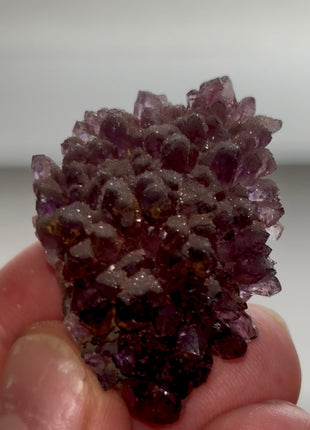 Druzy Amethyst from Alacam mine PM1022