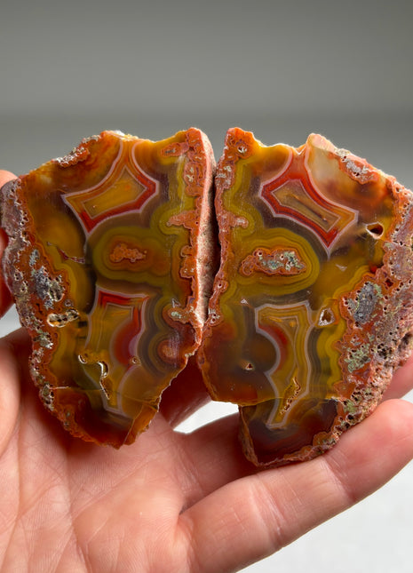 Black Sea Agate Pair*